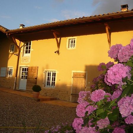 Bed & Breakfast - Maison De Marie Messimy-sur-Saone Экстерьер фото