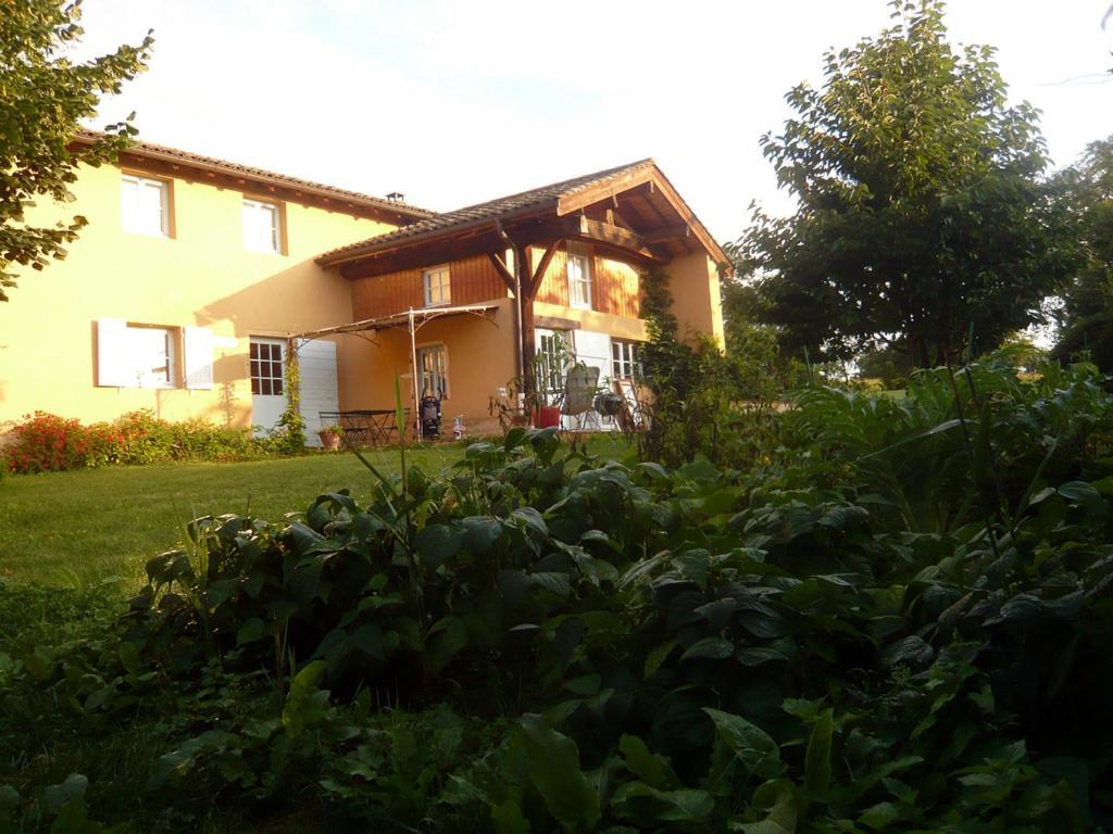 Bed & Breakfast - Maison De Marie Messimy-sur-Saone Экстерьер фото