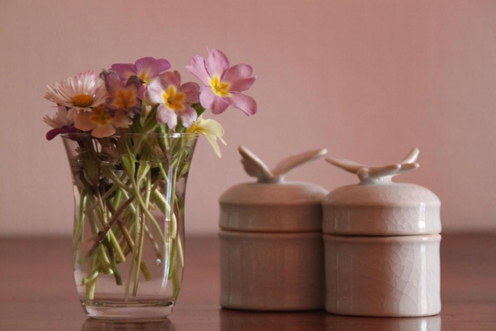 Bed & Breakfast - Maison De Marie Messimy-sur-Saone Номер фото